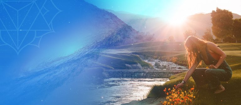 Transform your life video course