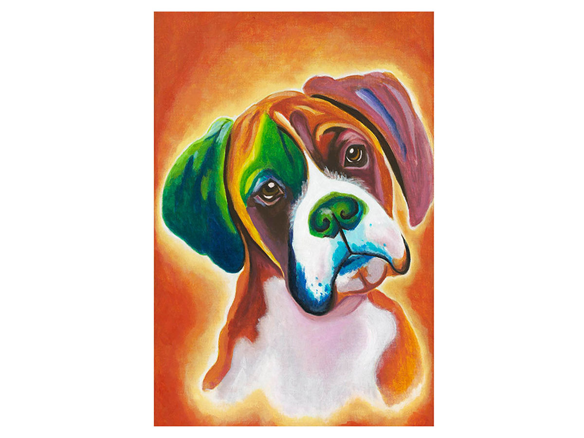 Digger the boxer